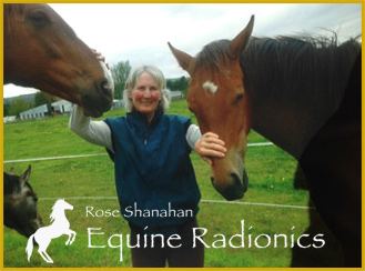 Rose Shanahan - Equine Radionics